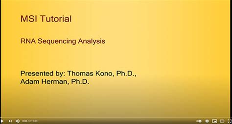RNA-Seq Analysis Tutorial 的图像结果