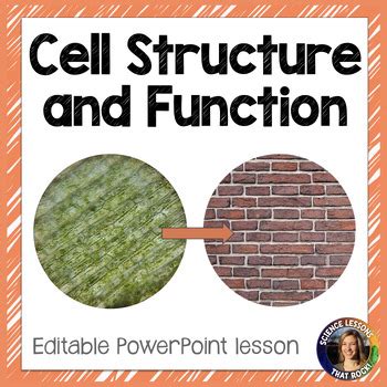 Cell Structure and Function Animation 的图像结果
