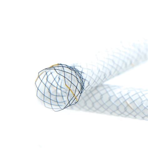 LumiEso Stent Esophageal System - INVAMED