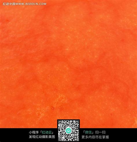 橘红色图片免费下载_橘红色素材_橘红色模板-新图网