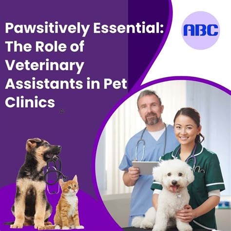 Pawsitively Essential: The Role of Veterinary Assistants in Pet Clinics ...