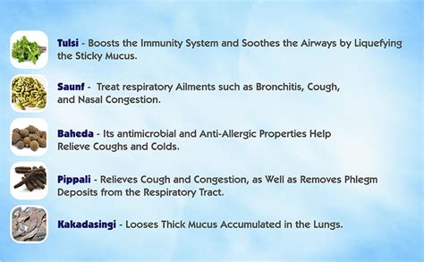 Buy Emcof Ayurvedic Sugar-Free Cough Syrup: Relieve Your Cough ...