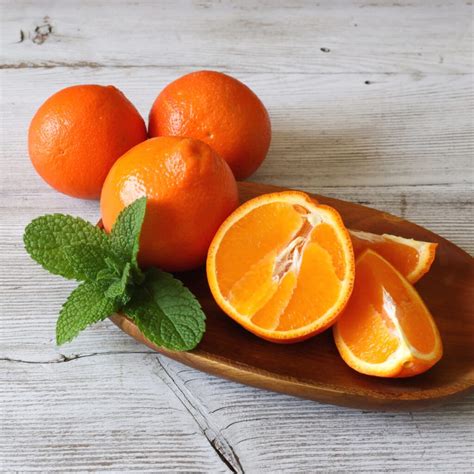 Minneola Tangelo For Sale Online by Alder and Oak Plants