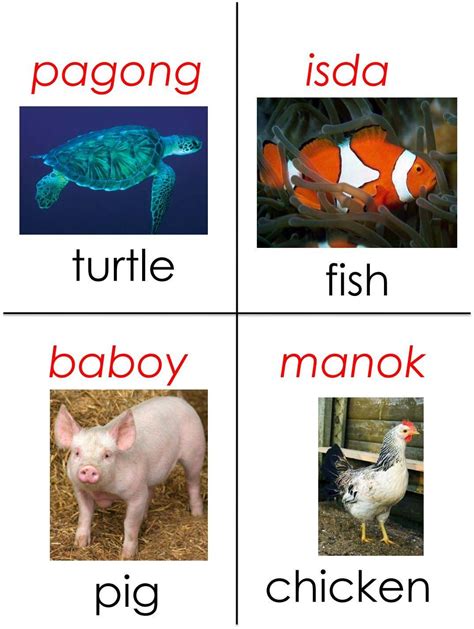 Image result for Tagalog FlashCards