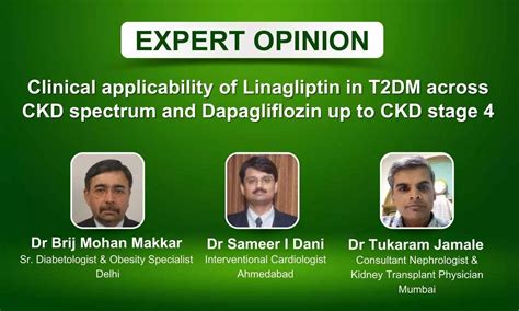 Evergreen Talk Series: Clinical applicability of Linagliptin in T2DM ...