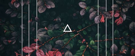 Download wallpaper 2560x1080 branches, square, triangle, bush, plant ...