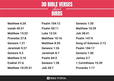174 Bible Verses about Birds