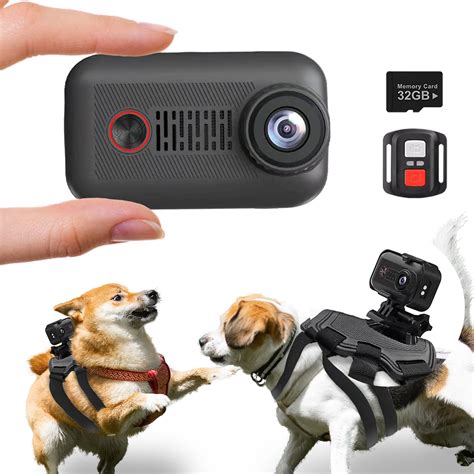 Amazon.com: 2K Pet Collar Camera with 32GB SD Card,Cat Collar Camera ...