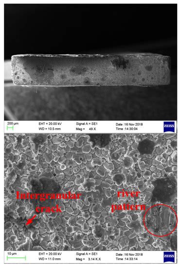 Failure Analysis of SAC305 Ball Grid Array Solder Joint at Extremely ...
