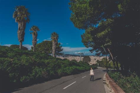 Rear view of person walking on road amidst trees | Premium Photo