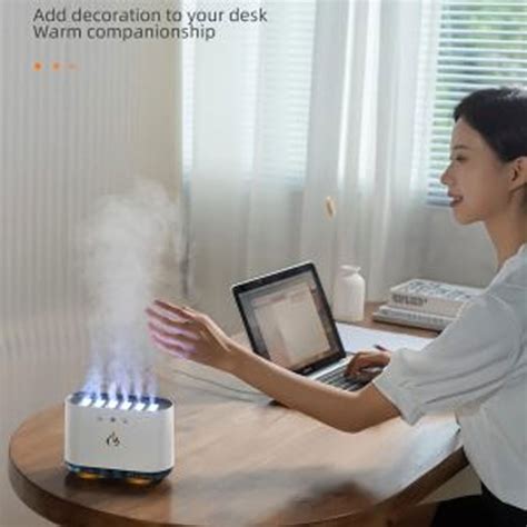 Image result for Dynamic Humidifier How to Use