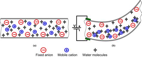 Image result for Impc Tutorial