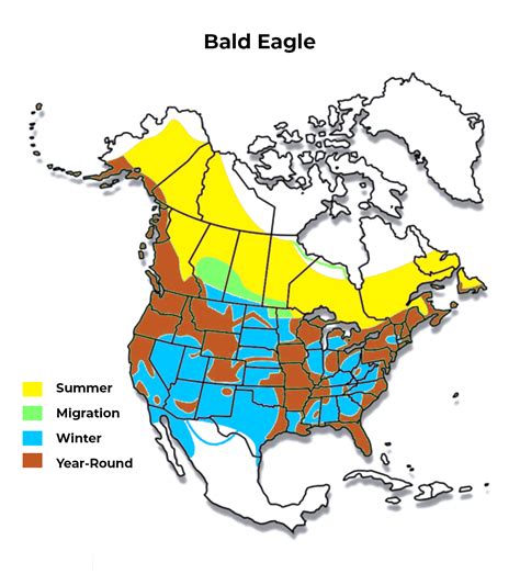 Map Of Bald Eagles In Us