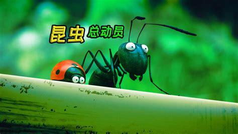 一只正义可爱的小瓢虫，拯救了黑蚂蚁王国《昆虫总动员》_高清1080P在线观看平台_腾讯视频