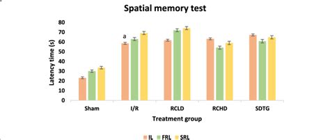 Image result for Spatial Memory Test