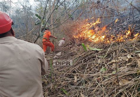 WILDFIRE OUTBREAK AT KIPHIRE | DIPR Nagaland-Department of Information ...