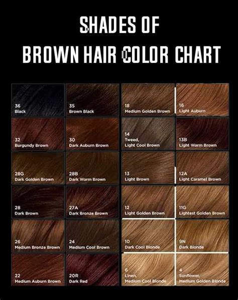 brown hair color shades chart
