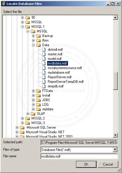 Restore Backup SQL Server 2008 to SQL Server 2005 的图像结果