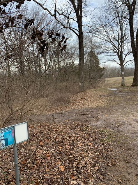 Charlie Vettiner Park