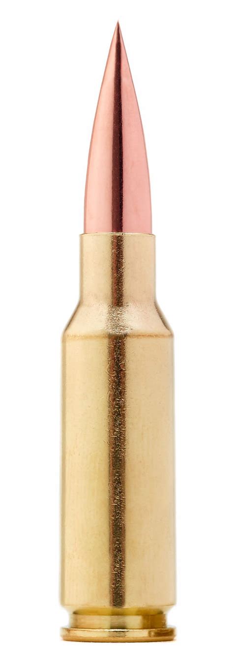 What Is a Full Metal Jacket Bullet 的图像结果