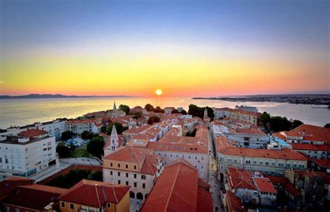 Cat breeds with wild looks but gentle hearts