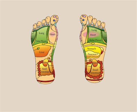 - acupoints acupressure