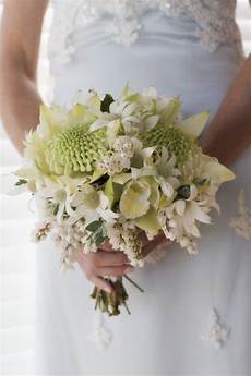 wedding flowere 15 wedding flowers a s guide tesselaar flowers wedding flowere 15 wedding flowers a s guide tesselaar flowers