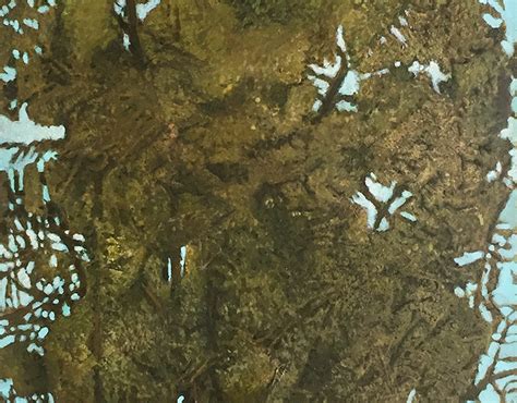 Image result for Mountian SpringSource