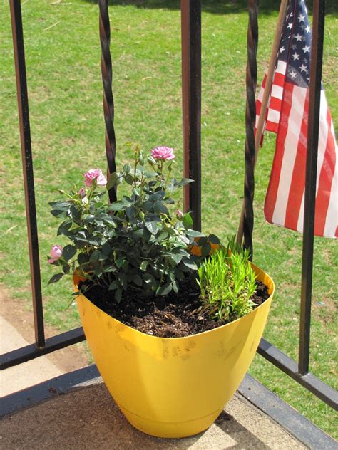 70@heart: Balsamic Vinegar Chicken Recipe, Duchess of Cambridge Ring, a ...