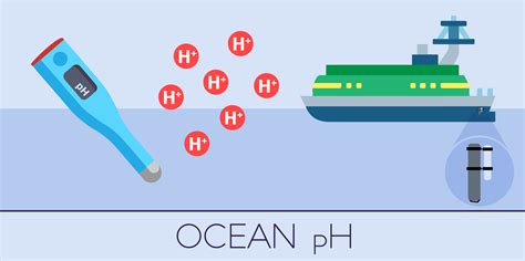 How Do You Measure the Acidity (pH) of the Ocean? | NIST