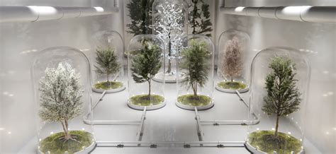 Image result for Random Tree Generator 2D