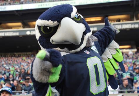 Seattle Seahawks Mascot Seahawks Mascot Commits Personal Foul, Perches