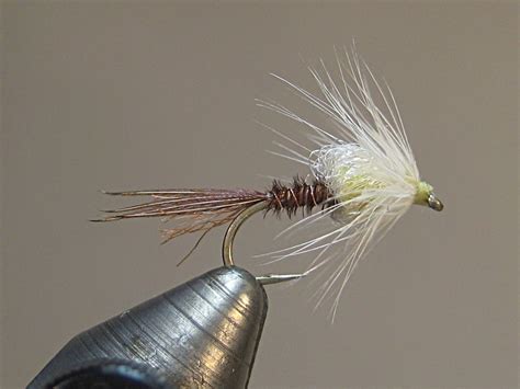 PMD Emerger Fly Pattern 的图像结果