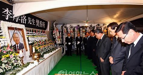 Image result for Alienoid 2022