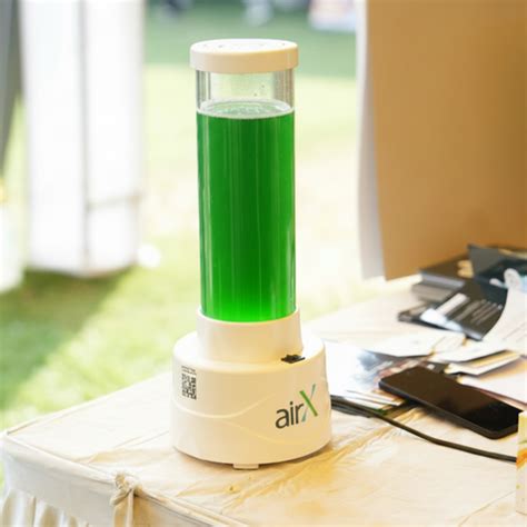 AirX O2 Mini - Air Purifier & Indoor Oxygen Generator – AirX Purifier