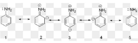 draw the resonance structure of aniline - Brainly.in