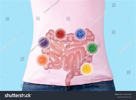 Healthy Gut Bacteria: Over 2,581 Royalty-Free Licensable Stock Photos | Shutterstock
