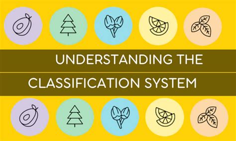 Image result for Classification System Latin