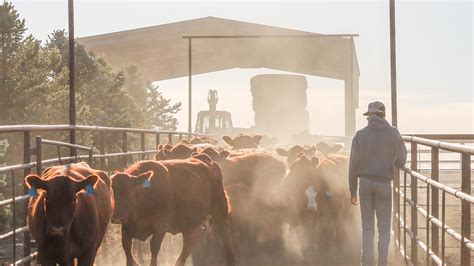 Updated Nebraska Land Values, Cash Rents Published in 2025 Nebraska ...