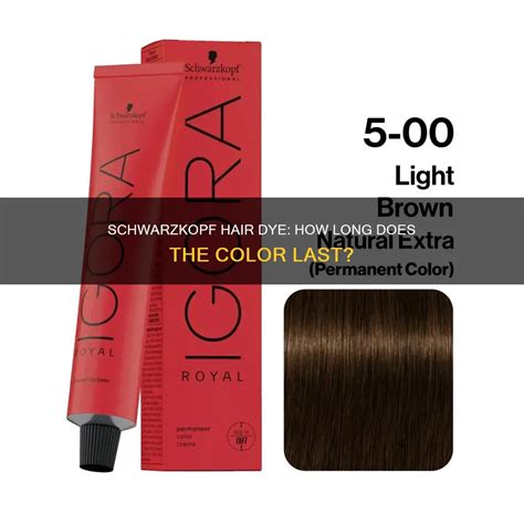 Schwarzkopf Hair Dye: How Long Does The Color Last? | ShunSalon