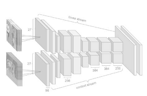 Tensorflow Hub with Video Classification 的图像结果