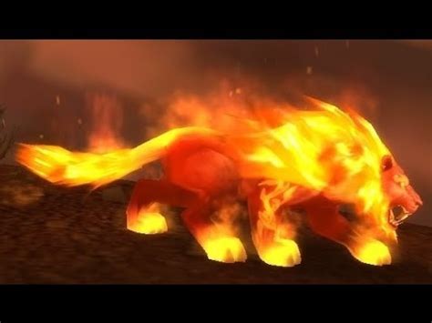Image result for fire cat