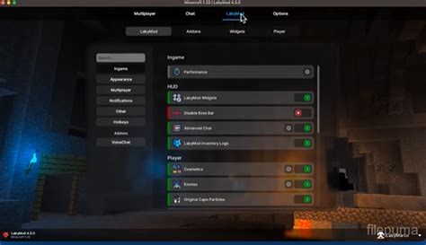 Image result for How to Install Laby Mod