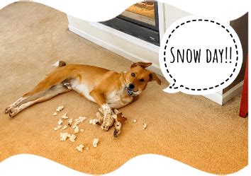 Cool Things in PowerPoint 的图像结果