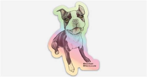 Boston terrier Carter by Coach Bri | Holographic stickers | Sticker ...