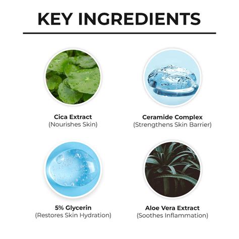 Cica & Ceramide Gentle Cleanser -125ml – Dr Sheth's