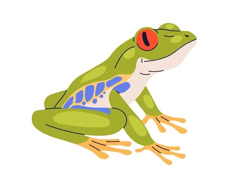 Rzekotka czerwonooka. Agalychnis callidryas rzekotka drzewna. Mała ...