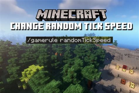Minecraft Fastest Tick Speed 的图像结果