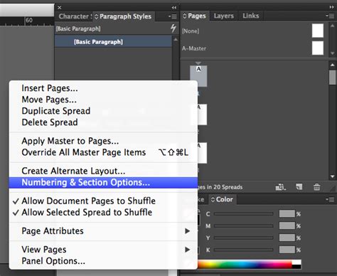 Chapter Numbering InDesign 的图像结果