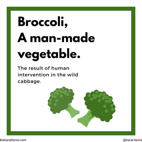 Karat Farms on LinkedIn: #india #innovation #technology #management # ...